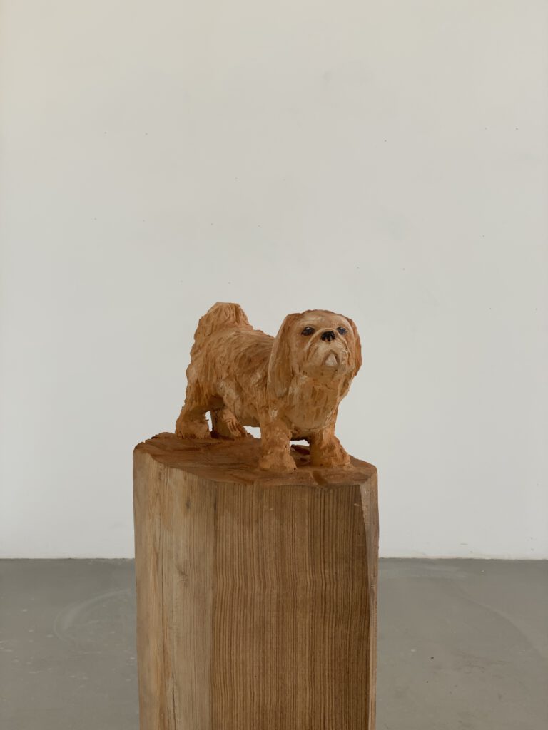 Pekinese